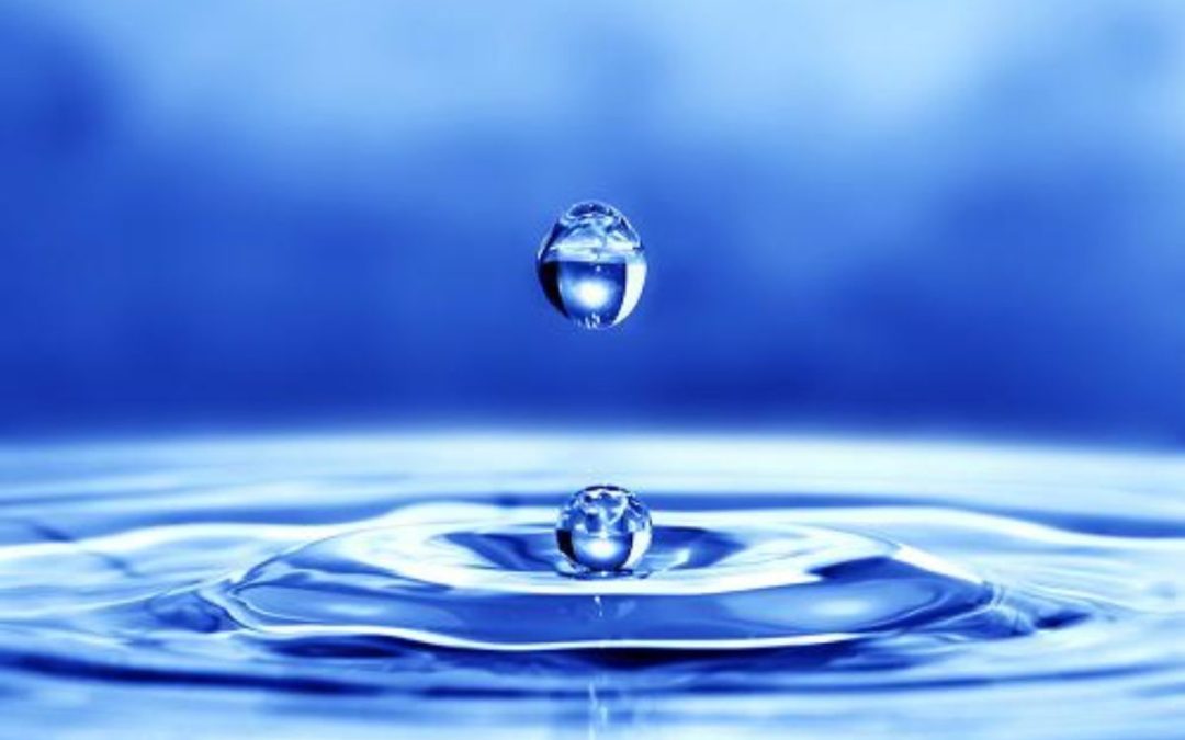 8-week Meditation Course